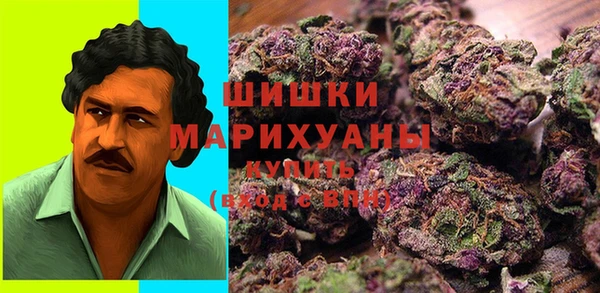 эйфоретик Ладушкин