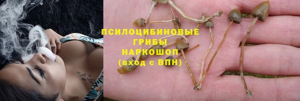 эйфоретик Ладушкин