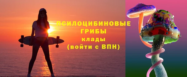 2c-b Кукмор