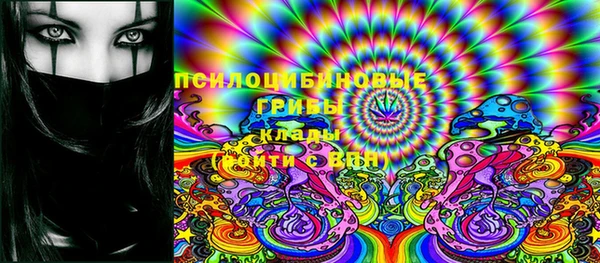 ГАЛЛЮЦИНОГЕННЫЕ ГРИБЫ Лабытнанги