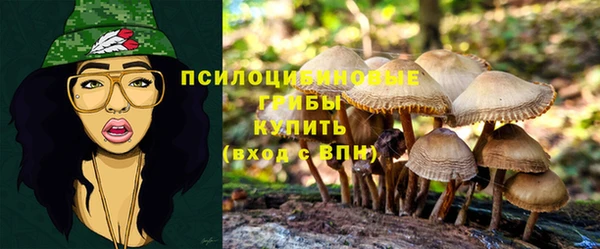 эйфоретик Ладушкин