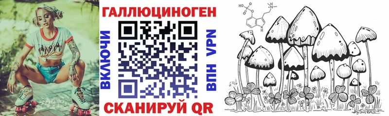 Псилоцибиновые грибы MAGIC MUSHROOMS  Купить  Андреаполь 